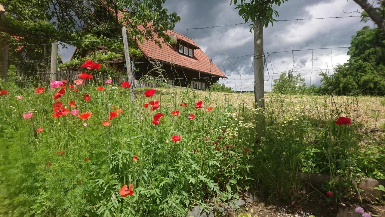 Gaestehaus Der Gamser Winzerstube Bad Gams Exteriör bild